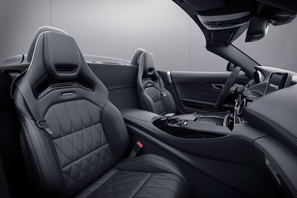 2021 Mercedes-Benz AMG GT Roadster Stealth Edition Interior