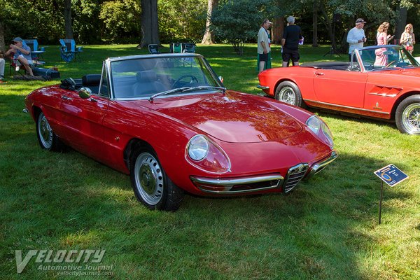 1967 Alfa Romeo Duetto Spyder