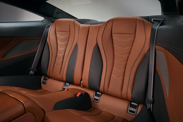 2019 BMW 8-Series M850i xDrive Coupe Interior