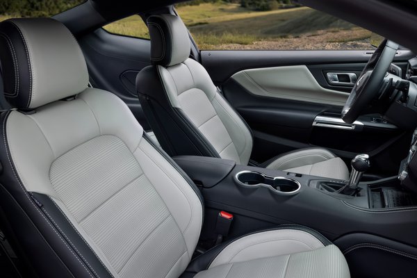 2025 Ford Mustang 60th Anniversary Package Interior